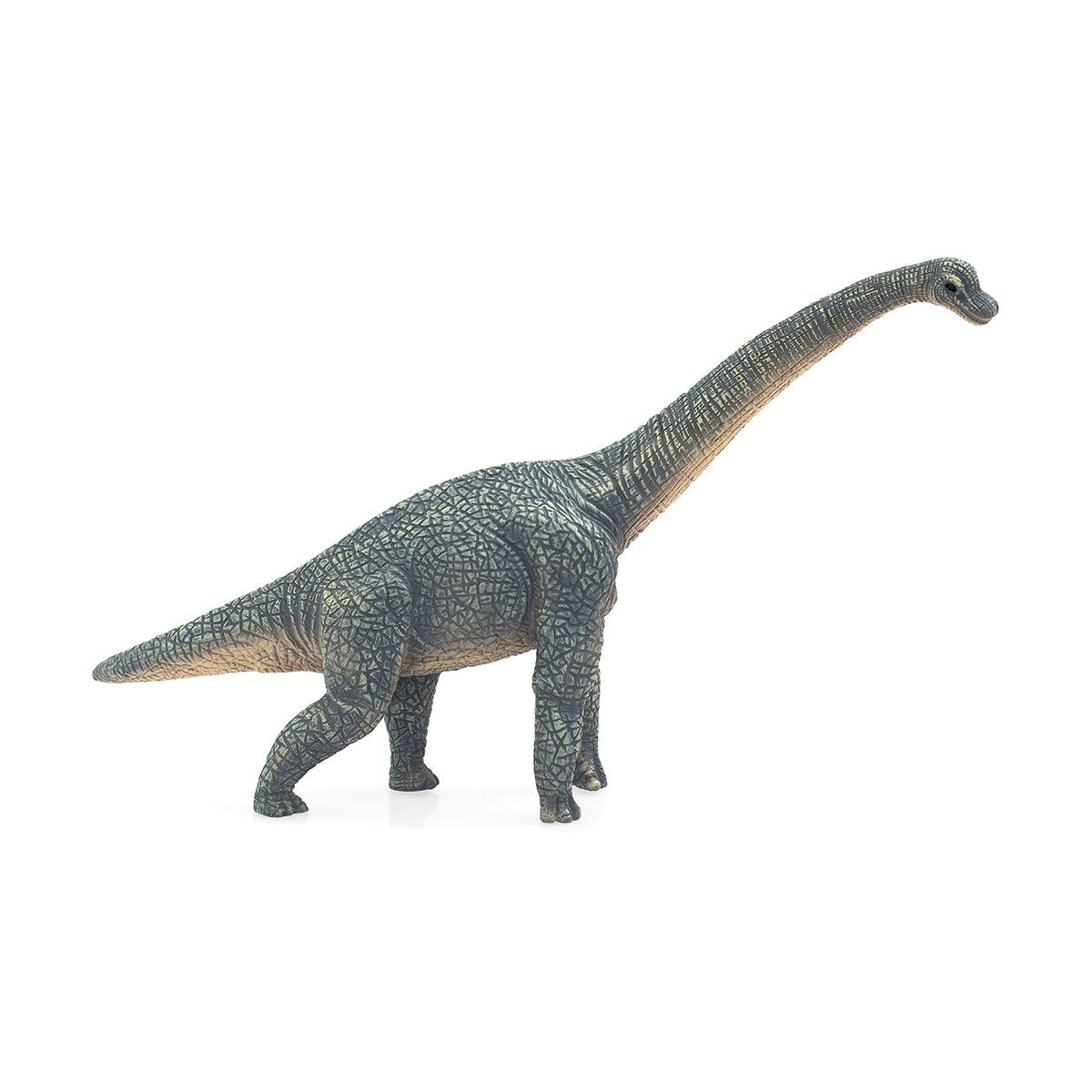 Figurina Mojo Brachiosaurus Dinozaur Realist Gri Model Pictat Manual