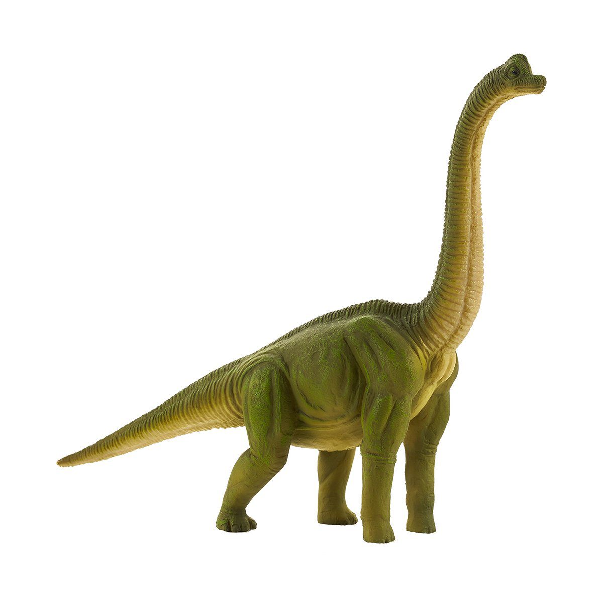 Figurina dinozaur Mojo Brachiosaurus realista pictata manual
