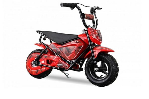 Motocicleta electrica Nitro Eco Flee 300W 24V copii
